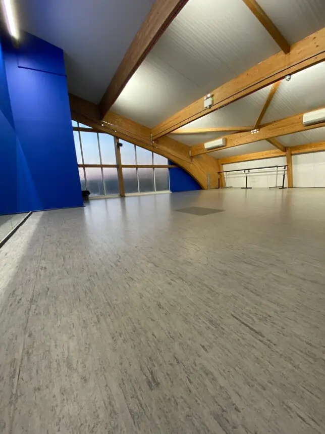 The Studio at LSTC
